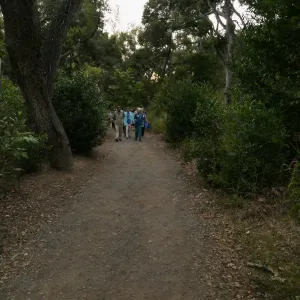 Member Appreciation Month, Full Moon Hike, hikers in Canyon