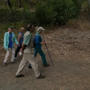 Member Appreciation Month, Full Moon Hike, hikers in Canyon