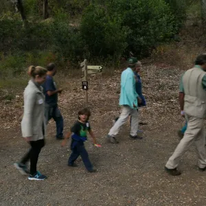 Member Appreciation Month, Full Moon Hike, hikers in Canyon