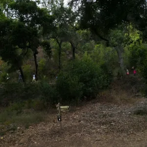 Member Appreciation Month, Full Moon Hike, hikers on Pritchett Trail