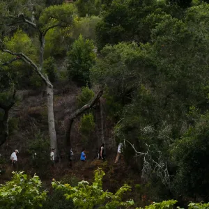 Member Appreciation Month, Full Moon Hike, hikers on Pritchett Trail