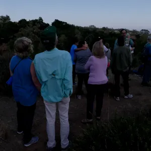 Member Appreciation Month, Full Moon Hike, hikers observing the sky at top of Pritchett Trail