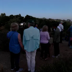 Member Appreciation Month, Full Moon Hike, hikers observing the sky at top of Pritchett Trail