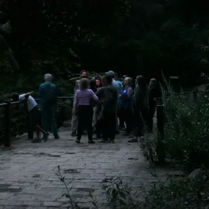 Member Appreciation Month, Full Moon Hike, hikers at Mission Dam