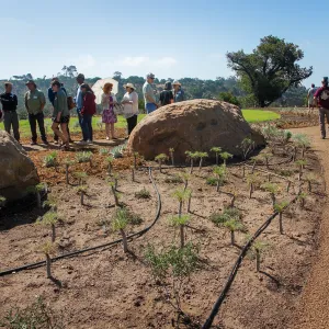 Pritzlaff Conservation Center Ribbon Cutting Celebration, guests exploring the newly planted Island View Garden