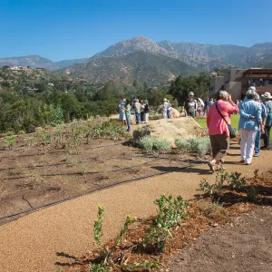 Pritzlaff Conservation Center Ribbon Cutting Celebration, guests exploring the newly planted Island View Garden