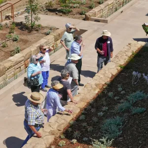Pritzlaff Conservation Center Ribbon Cutting Celebration, Bruce Reed leading tour of newly planted Island View Garden