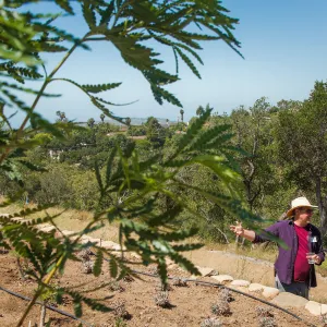 Pritzlaff Conservation Center Ribbon Cutting Celebration, Bruce Reed leading tour of newly planted Island View Garden