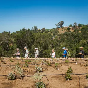 Pritzlaff Conservation Center Ribbon Cutting Celebration, Bruce Reed leading tour of newly planted Island View Garden