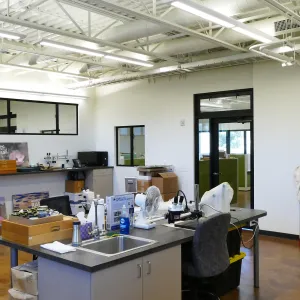 Pritzlaff Conservation Center Construction, looking northeast across dry lab area