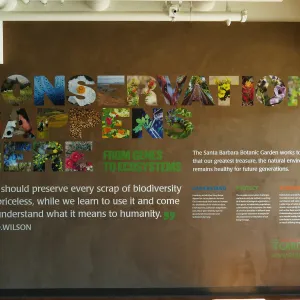 Conservation Happens interpretation graphic
