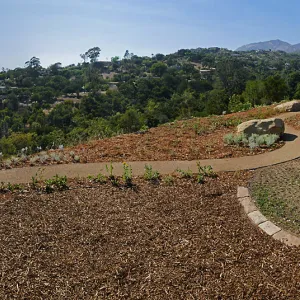 Island View Garden Installation, panorama from boulder near south steps