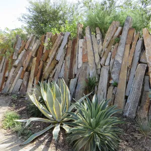 Natural History Museum of Los Angeles, Nature Gardens, Rock Walls