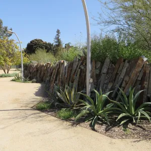 Natural History Museum of Los Angeles, Nature Gardens, Rock Walls