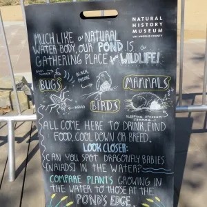 Natural History Museum of Los Angeles, Nature Gardens, Pond Signage