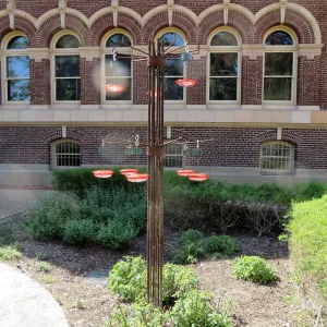 Natural History Museum of Los Angeles, Nature Gardens, Hummingbird Feeder