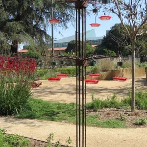 Natural History Museum of Los Angeles, Nature Gardens, Hummingbird Feeder