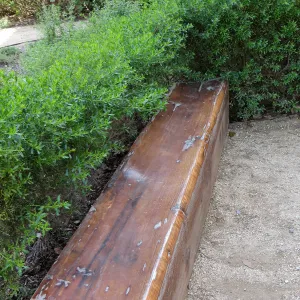 Natural History Museum of Los Angeles, Nature Gardens