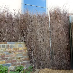 Natural History Museum of Los Angeles, Nature Gardens, Compost Wall