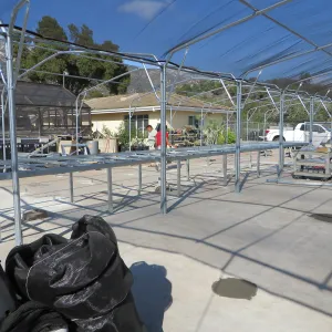 SBBG rebuilding the Hort Unit