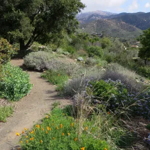 SBBG, Porter Trail