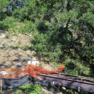 SBBG Sewer work, Mission Cyn Rd