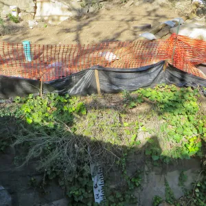 SBBG Sewer work, Mission Cyn Rd