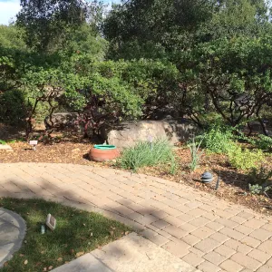 Home Demo Garden