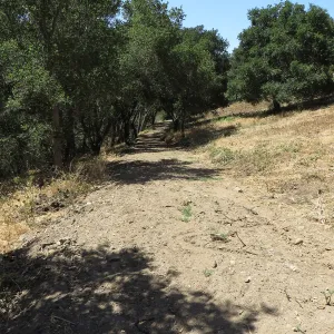 Excess soil deposited on east slope trail