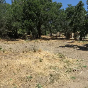 Excess soil deposited on east slope trail