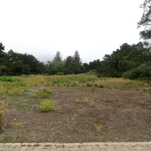 SBBG Meadow revival project