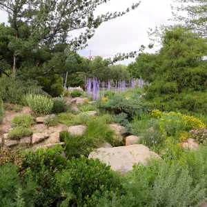 Denver Botanic Garden, APGA meeting. Dale Chihuly sculpture