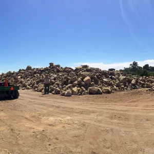 Rock pile at Gane House site, with Dave Kershaw