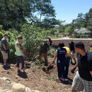 SBBG, volunteer work crew in the meadow