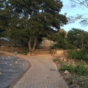 Path along lower meadow edge towards original entrance gate