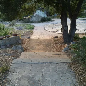 Looking back towards Lowert Meadow from original entrance gate steps