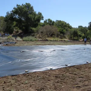 Solarization of the Meadow
