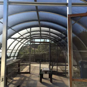 Hoop house at Hort Unit
