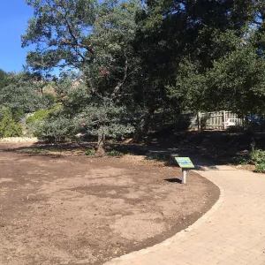 Meadow after solarization