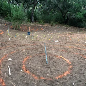 Maze pattern laid out