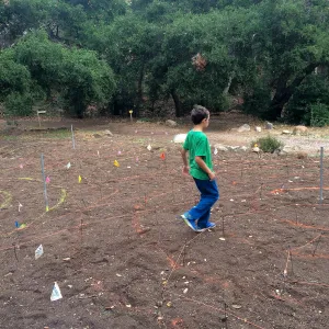 Maze pattern laid out