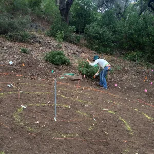 Betsy Lape working on the Maze