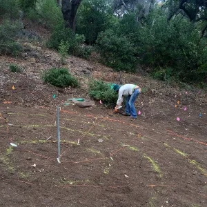 Betsy Lape working on the Maze