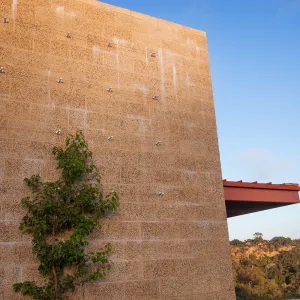 Pritzlaff Conservation Center exterior, Prunus espalier