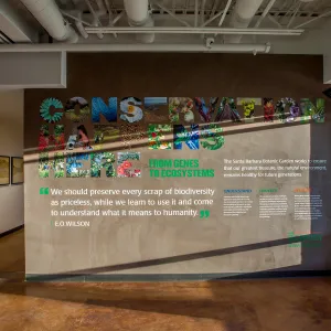 Pritzlaff Conservation Center interior, lobby mural