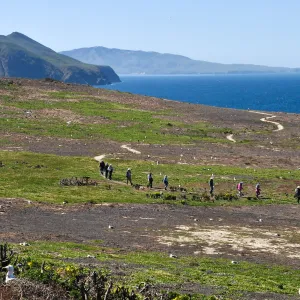 Anacapa Island Trip 2016-05, Group walking with Steve Junak