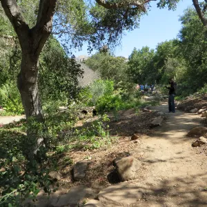 Above Tea House, Lower Arroyo, new trail