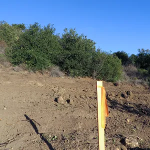 PCC construction, cart path