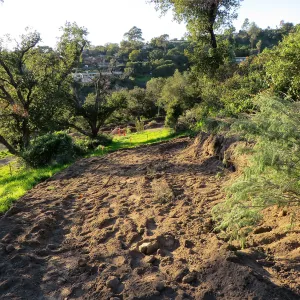 PCC construction, cart path