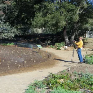 Randy photographing the new meadow planting